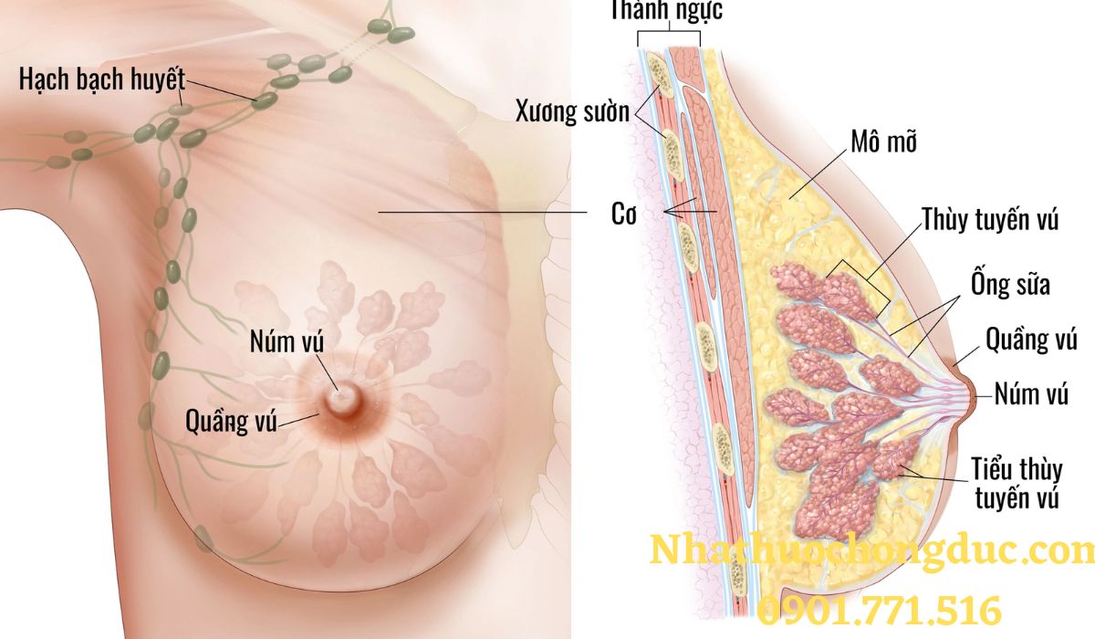 Sau phẫu thuật ung thư vú