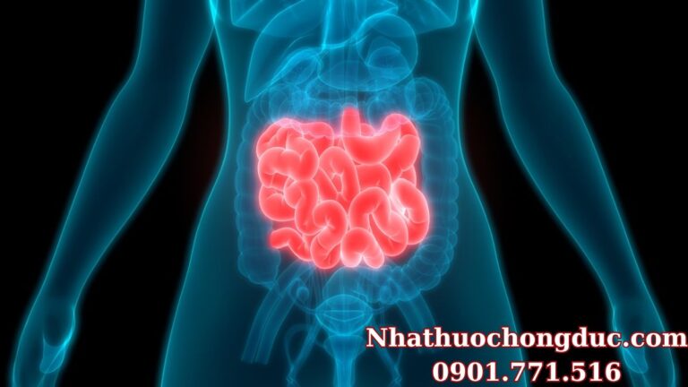 Ung thư ruột non là gì? Nguyên nhân, triệu chứng, cách điều trị