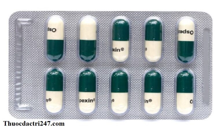 Thuoc-Ospexin-500mg-Cephalexin-Cong-dung-va-cach-dung