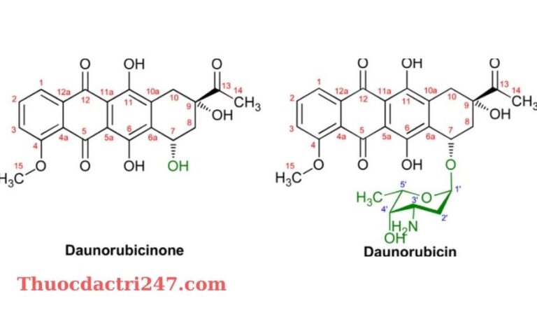 Thuoc Rubidomycin 5mg ml Daunorubicin Cong dung va cach dung thuoc1