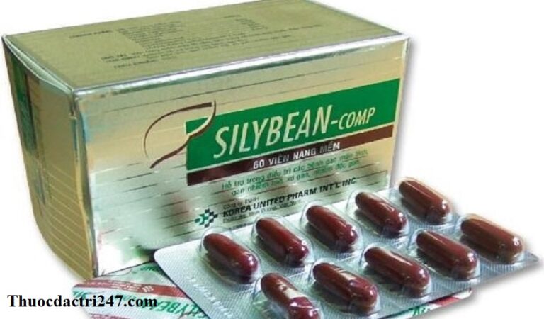 Thuoc-Silybean-Cong-dung-va-cach-dung